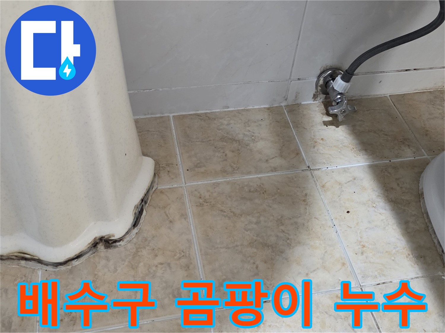 세면대 배수구 주변 곰팡이 - 악취 원인 - 곰팡이 제거 필요