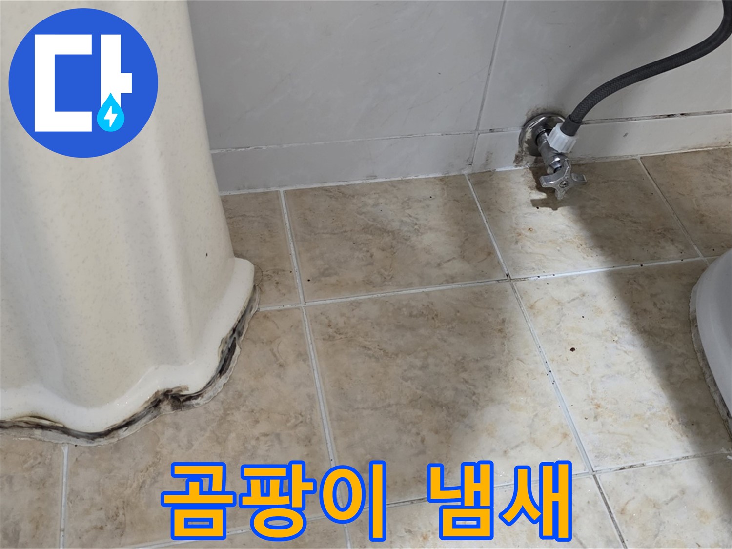세면대 아래 곰팡이 냄새 - 쾌적한 욕실을 망쳐요 - 냄새 제거 전문가