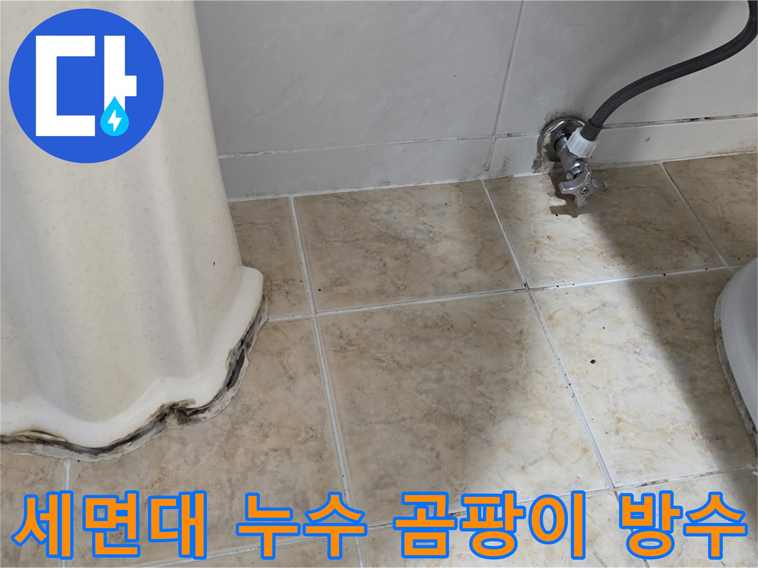 세면대 아래 곰팡이 - 누수로 인해 발생한 곰팡이를 보여주는 사진입니다. 철저한 제거와 방수가 필요합니다.