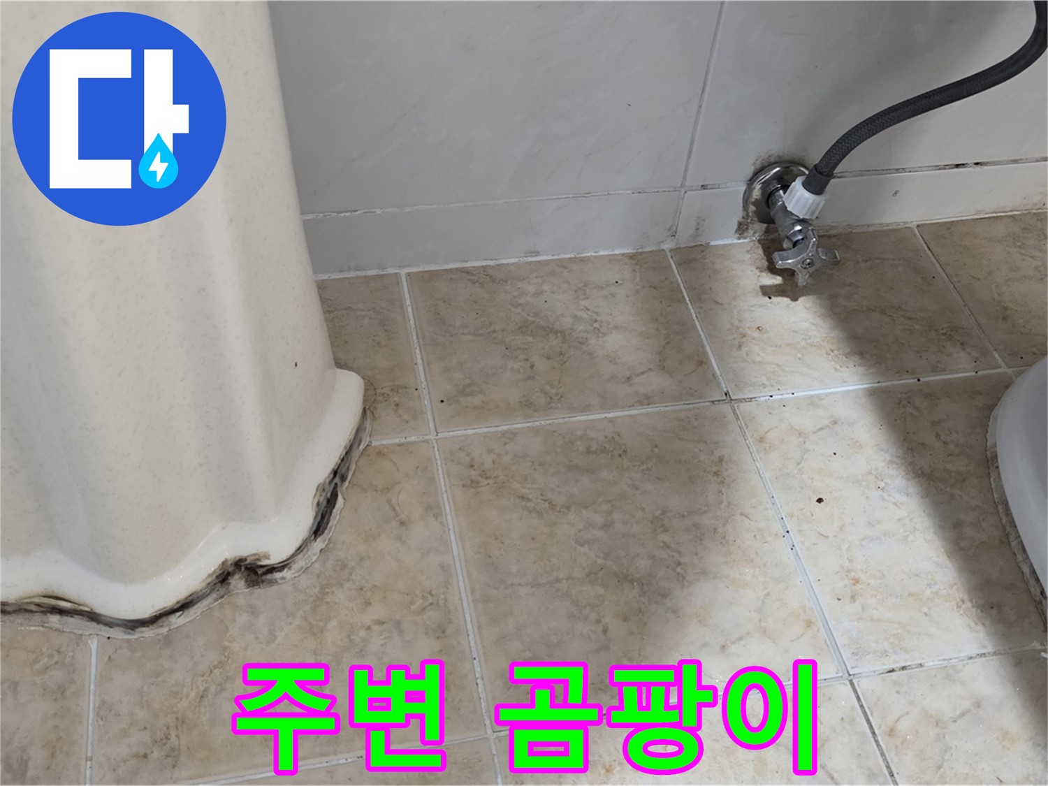 세면대 주변 곰팡이 - 쾌적한 욕실 필수 - 곰팡이 제거 전문가