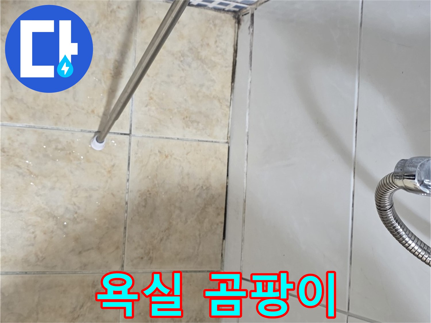 욕실 곰팡이 - 건강 - 전문가 상담 - 즉시