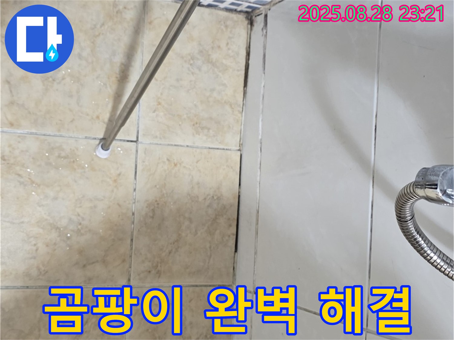 욕실 곰팡이 - 곰팡이 문제 완벽하게 해결