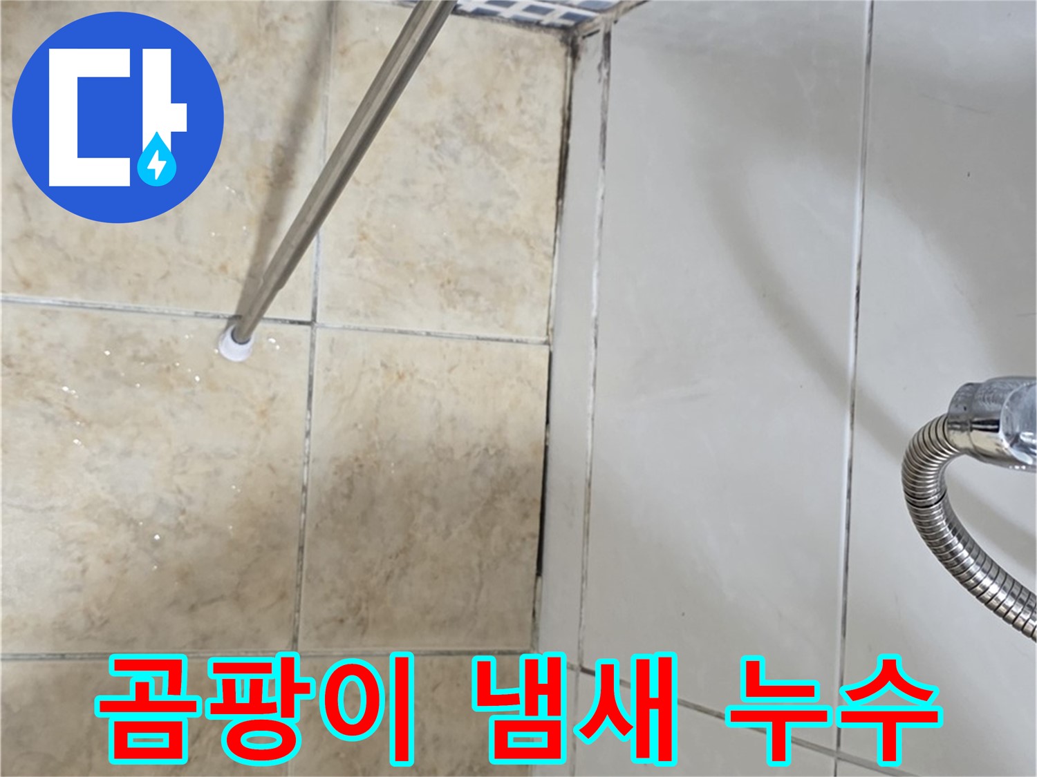 욕실 곰팡이 냄새 - 환기 안됨 - 누수 의심