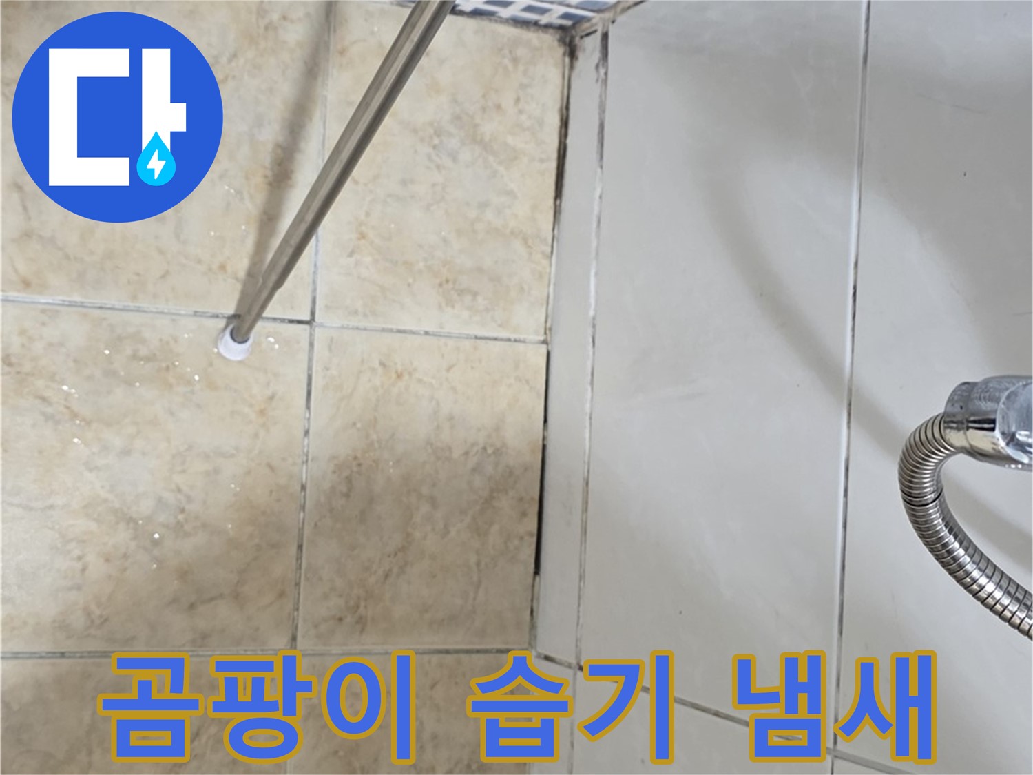 욕실 곰팡이 - 습기 - 냄새 - 누수 원인 - 정밀 진단