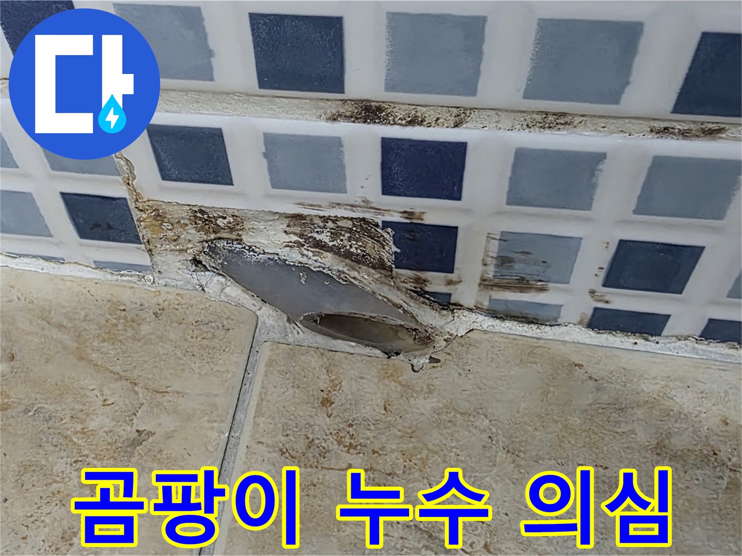 욕실 배수구 주변 곰팡이 - 누수 가능성 높음