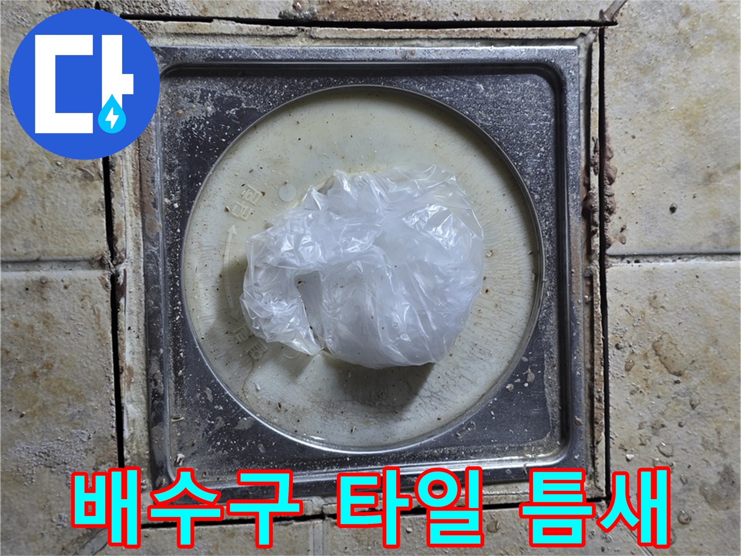 욕실 배수구 타일 틈새 오염 - 누수 위험 진단