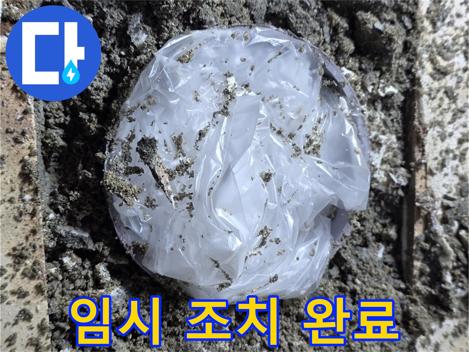 임시 조치 완료 - 완벽 해결 약속