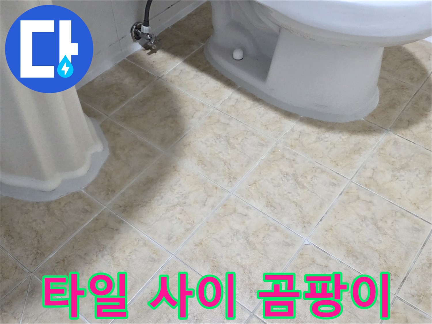 타일 사이 곰팡이 - 방수층 손상 의심