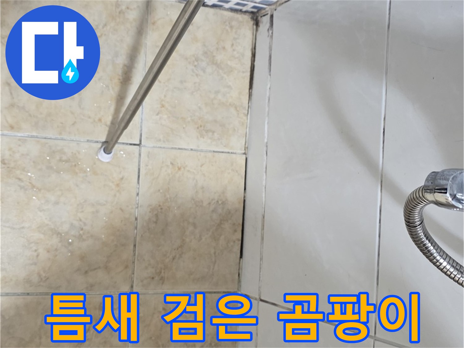 타일 틈새 검은 곰팡이 - 누수 신호 - 꼼꼼 점검