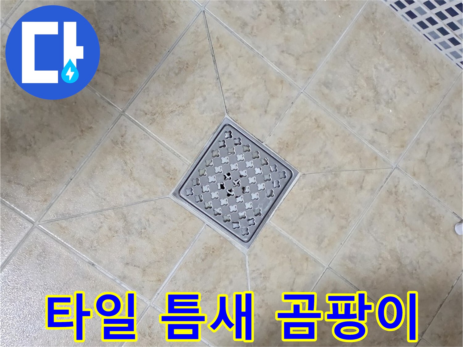 타일 틈새 곰팡이 - 실리콘 재시공