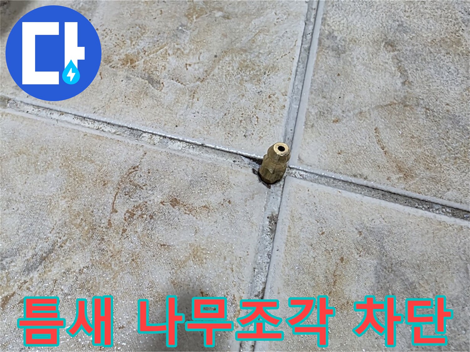 틈새 나무조각 차단 - 타일 틈새에 꽂힌 나무 조각, 중랑구 누수 완벽 차단 시공으로 해결합니다.