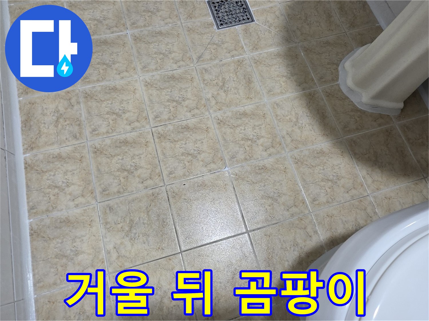 화장실 거울 뒤 곰팡이 - 환기 부족! 곰팡이 제거 필수!