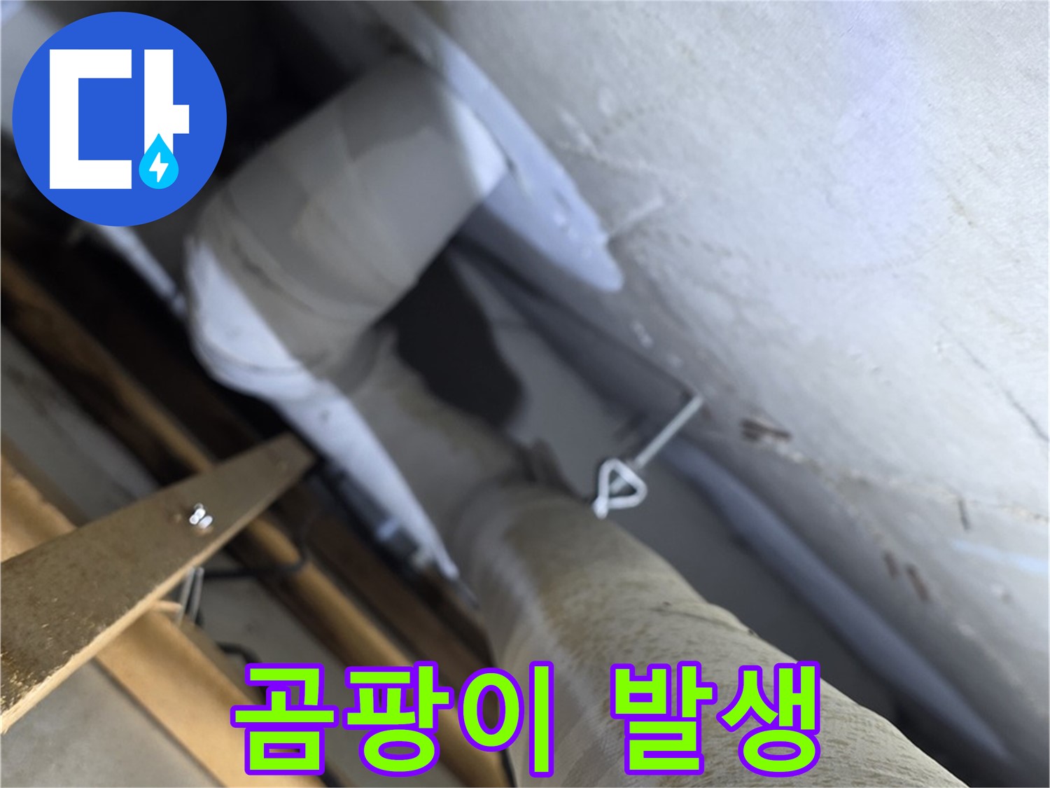 양주 백석 서광아침의빛 - 천장 누수는 곰팡이 발생 위험을 높입니다 - 빠른 해결이 필요