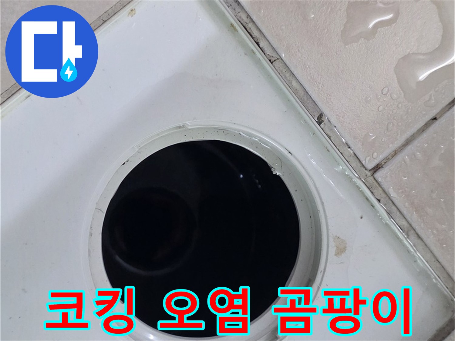 양주 백석 서광아침의빛아파트 욕실 배수구 주변 코킹 오염 - 곰팡이 심각