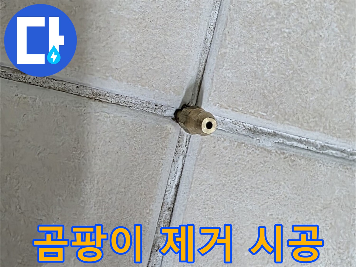 양주 백석 서광아파트 - 곰팡이 제거 시공으로 건강하고 쾌적한 집을 만들어 드립니다.