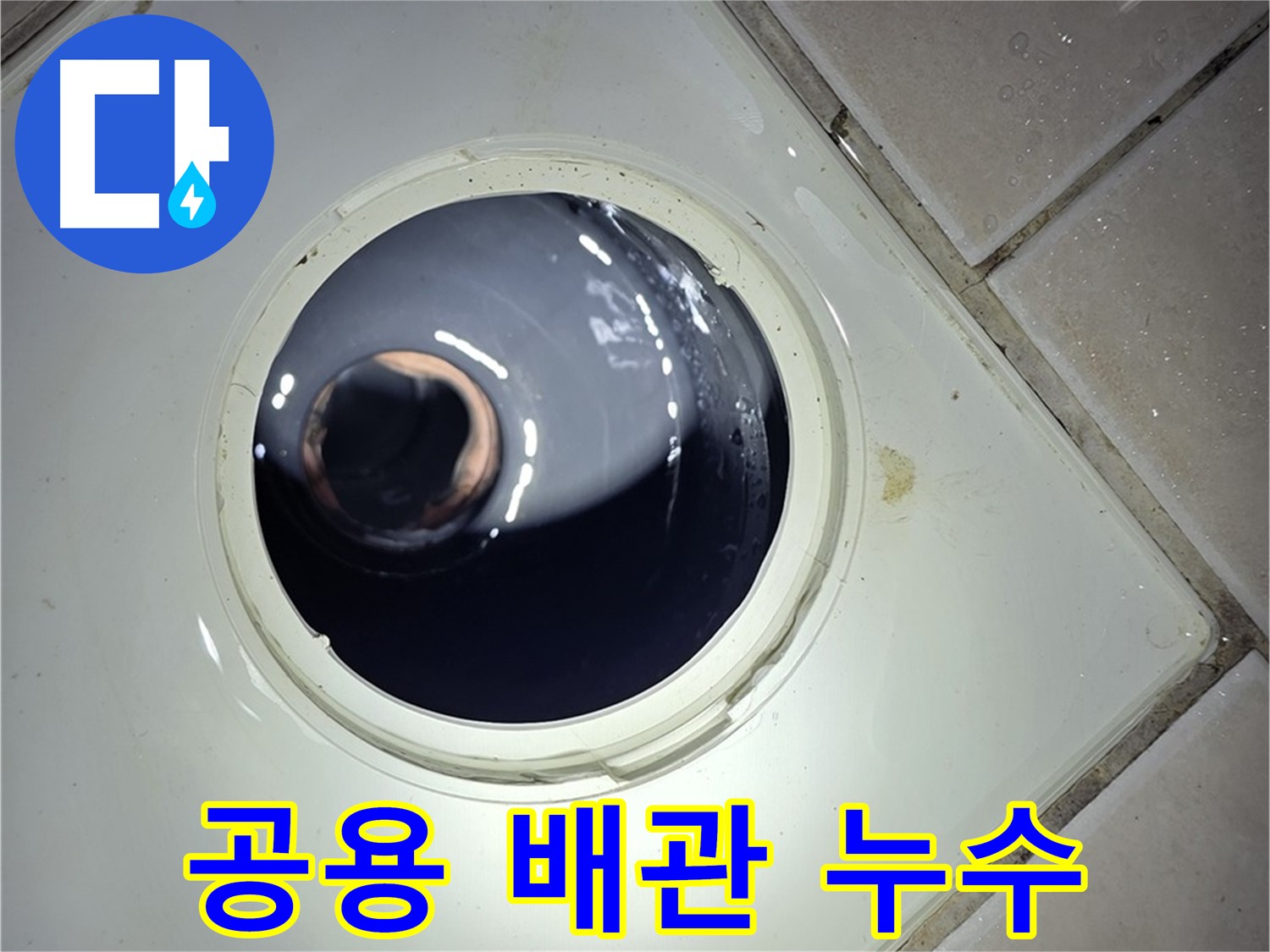 양주 백석 서광아파트 공용 배관 누수 - 신속한 조치로 피해 최소화