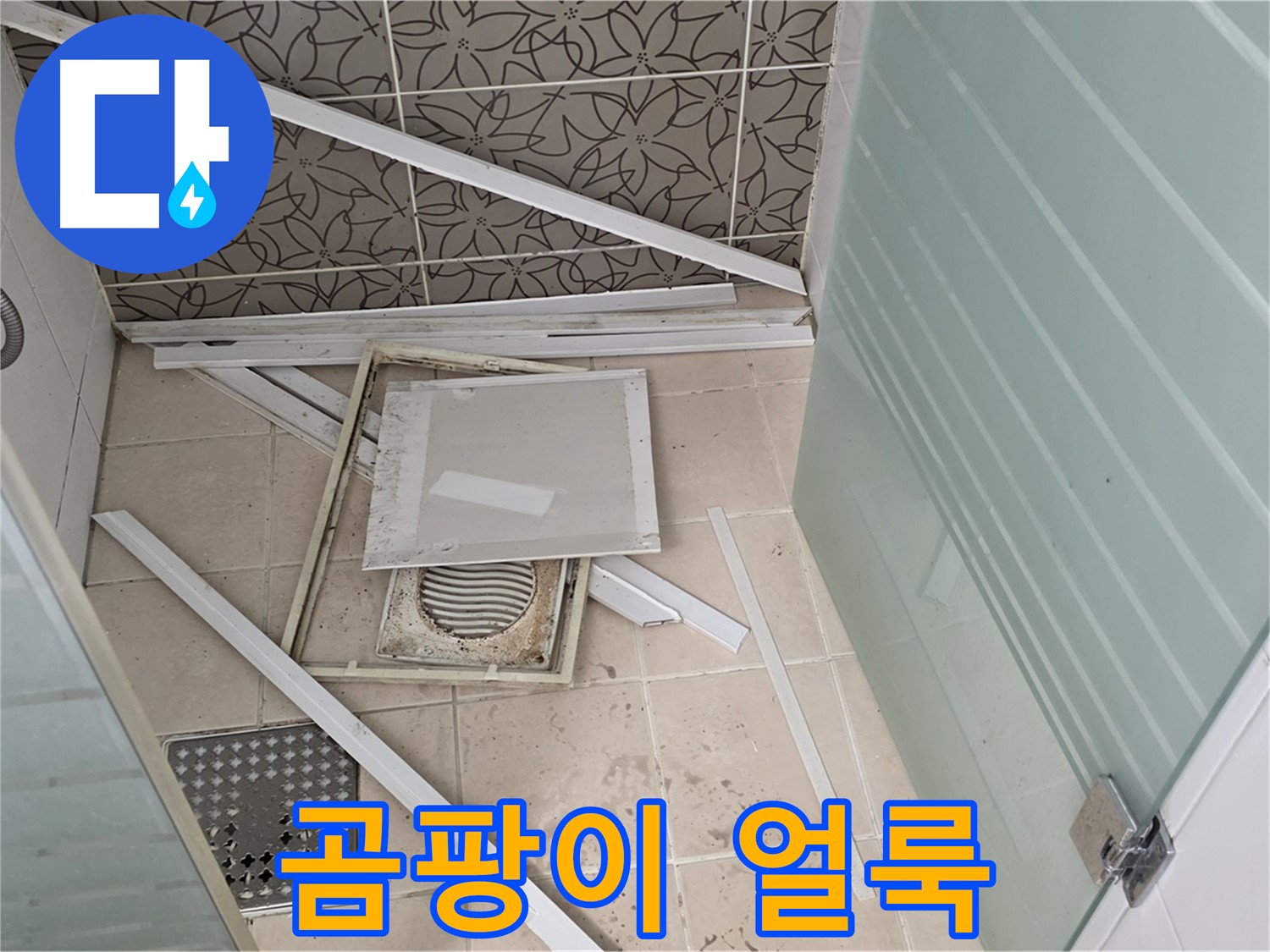 양주 백석 서광아파트 누수 - 석고보드, 곰팡이로 얼룩덜룩