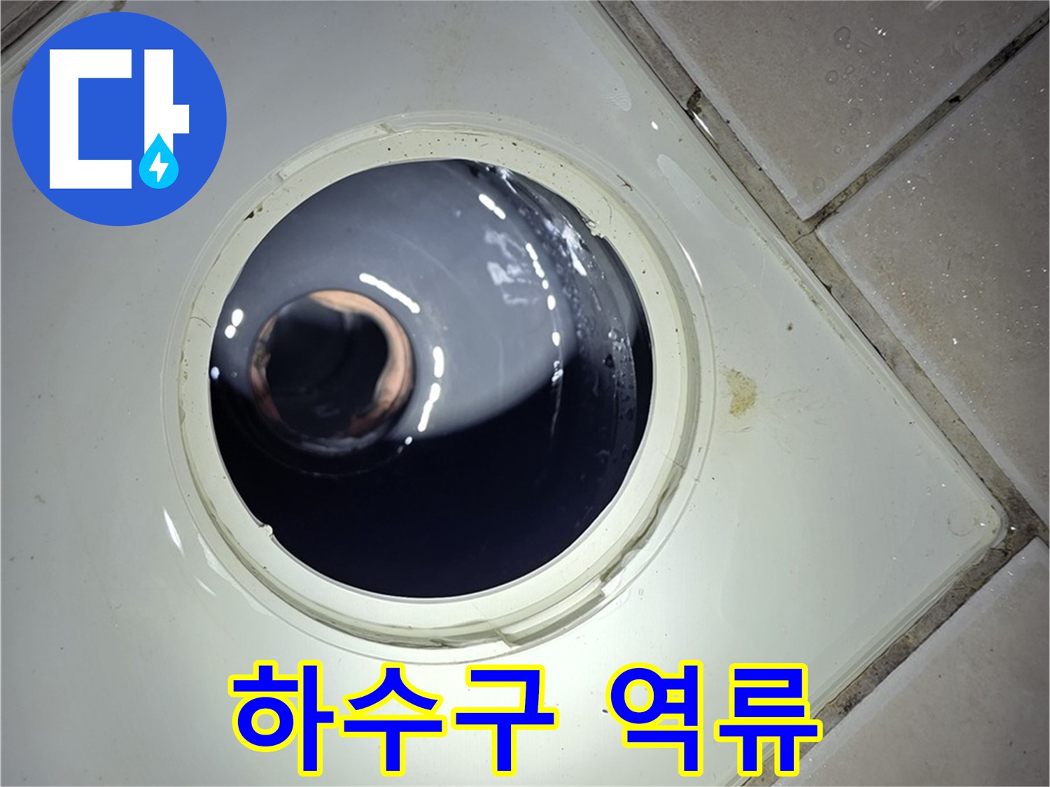 양주 백석 서광아파트 세탁실 하수구 역류 - 섬유 찌꺼기 제거, 배수 원활