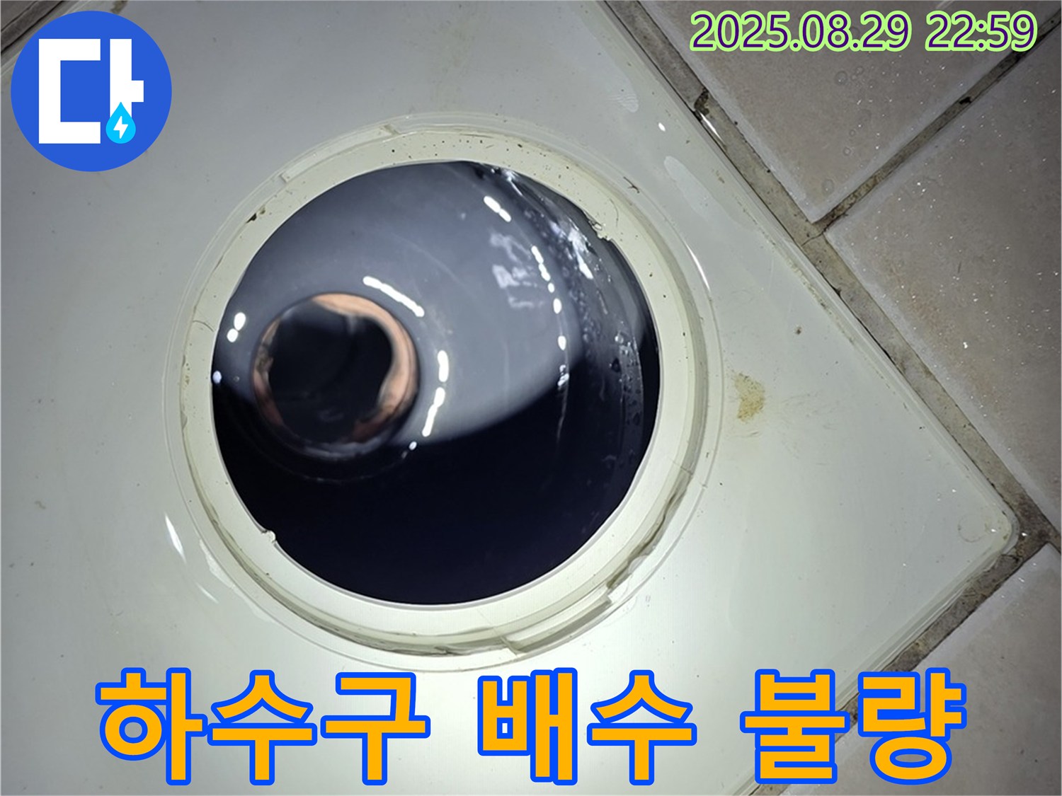 양주 백석 서광아파트 욕실 누수 - 하수구 배수 불량으로 인한 물고임은 누수의 시작일 수 있습니다.