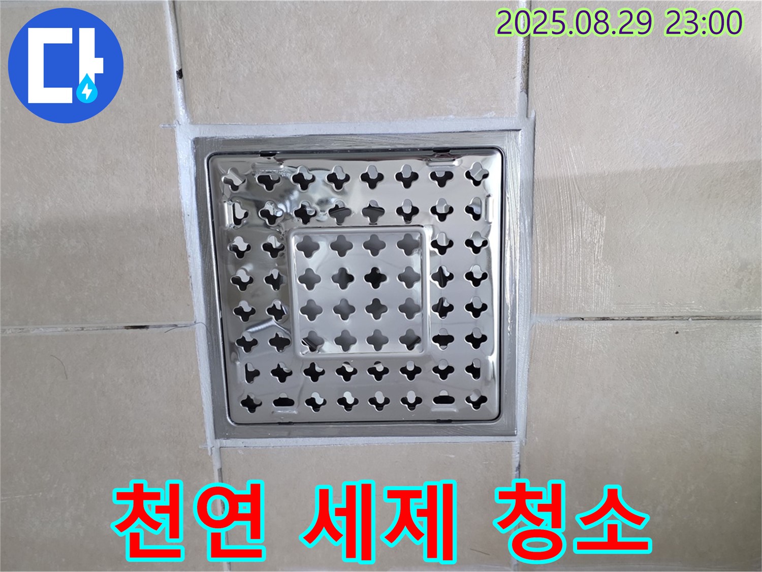 양주 백석 서광아파트 욕실 - 배수구 주변 곰팡이, 천연 세제로 깨끗하게!
