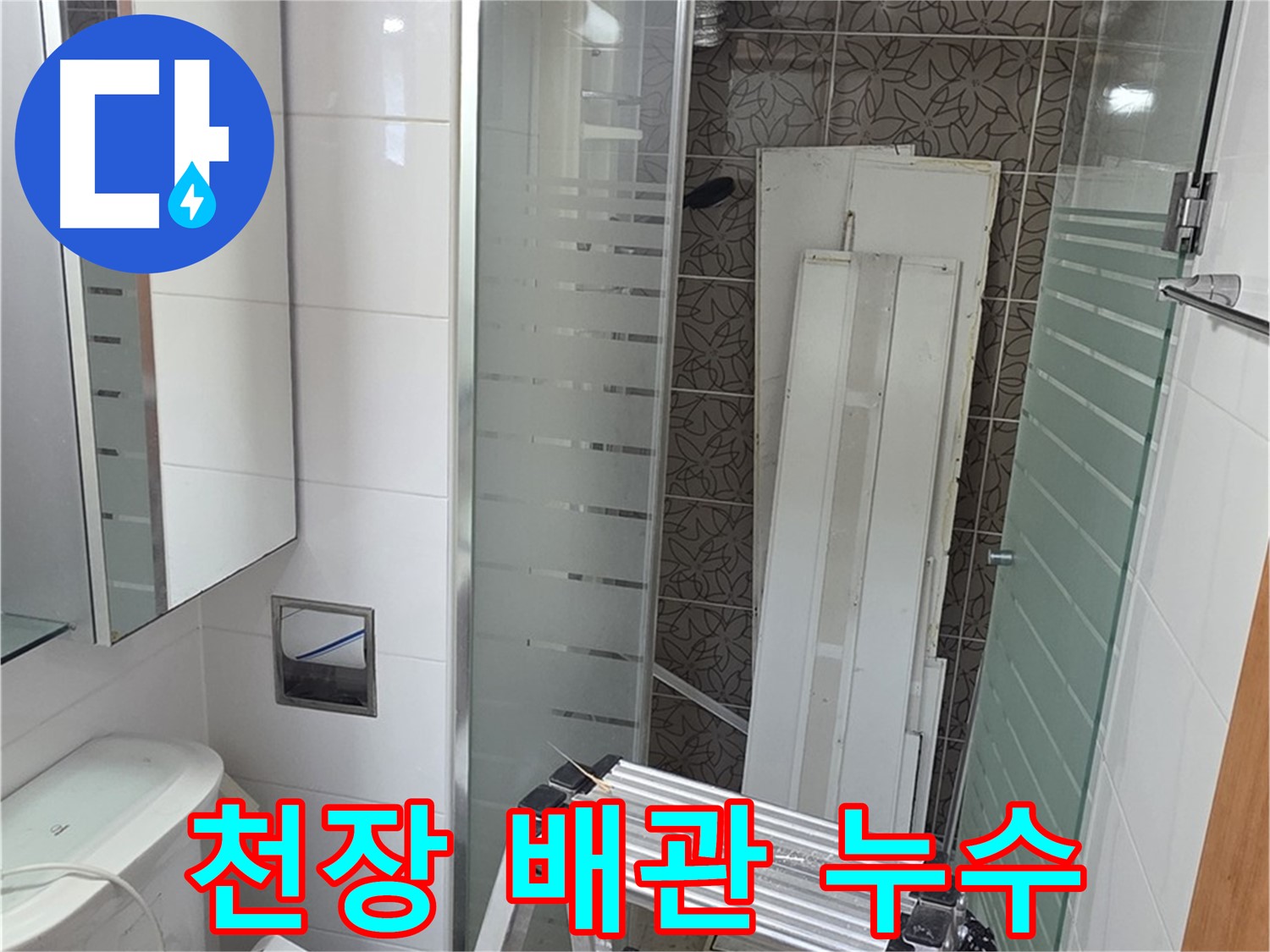 양주 백석 서광아파트 천장 누수 - 배관 문제 신속 해결