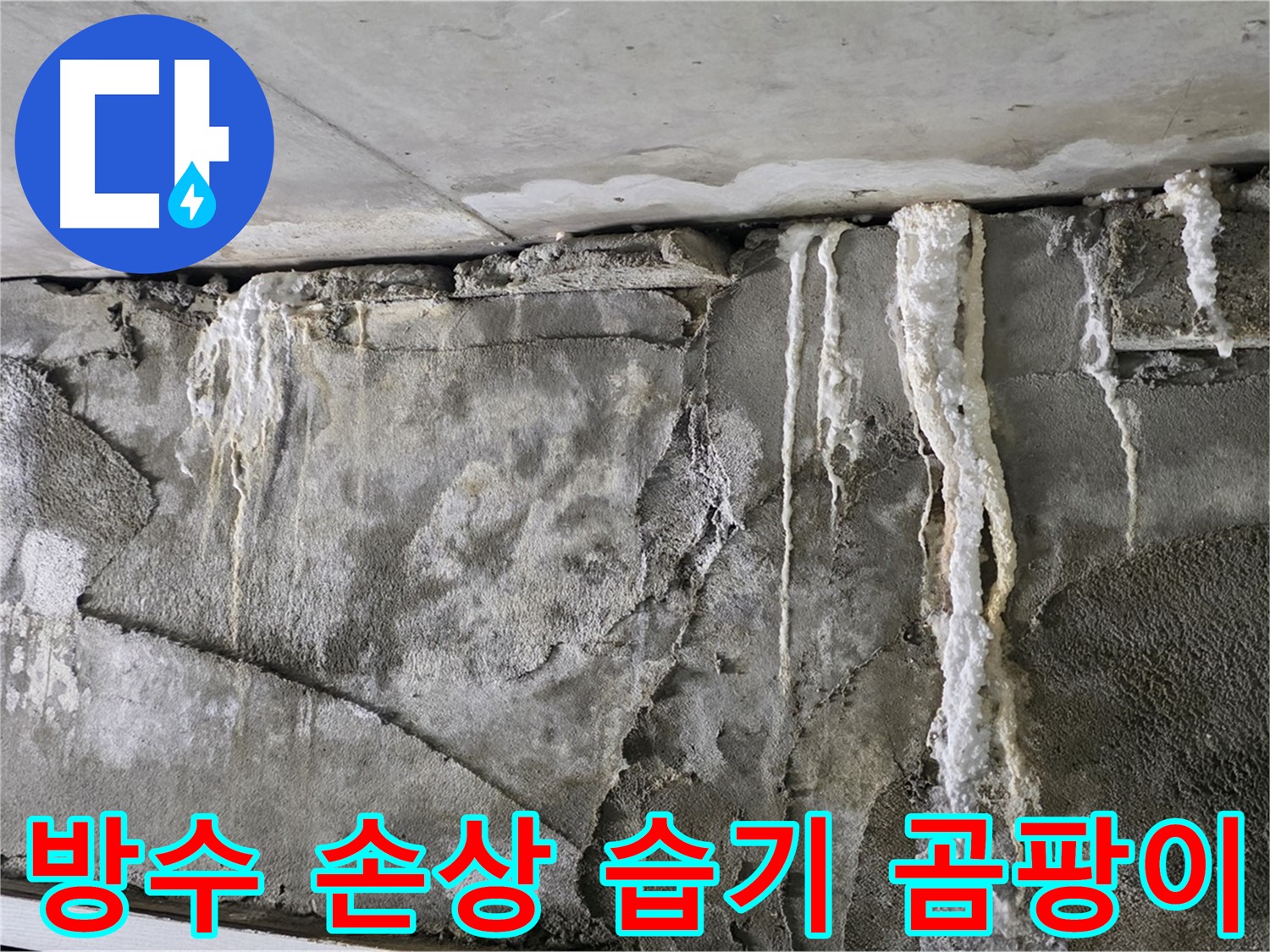 분당 누수 - 방수 아웃, 습기 감옥, 곰팡이