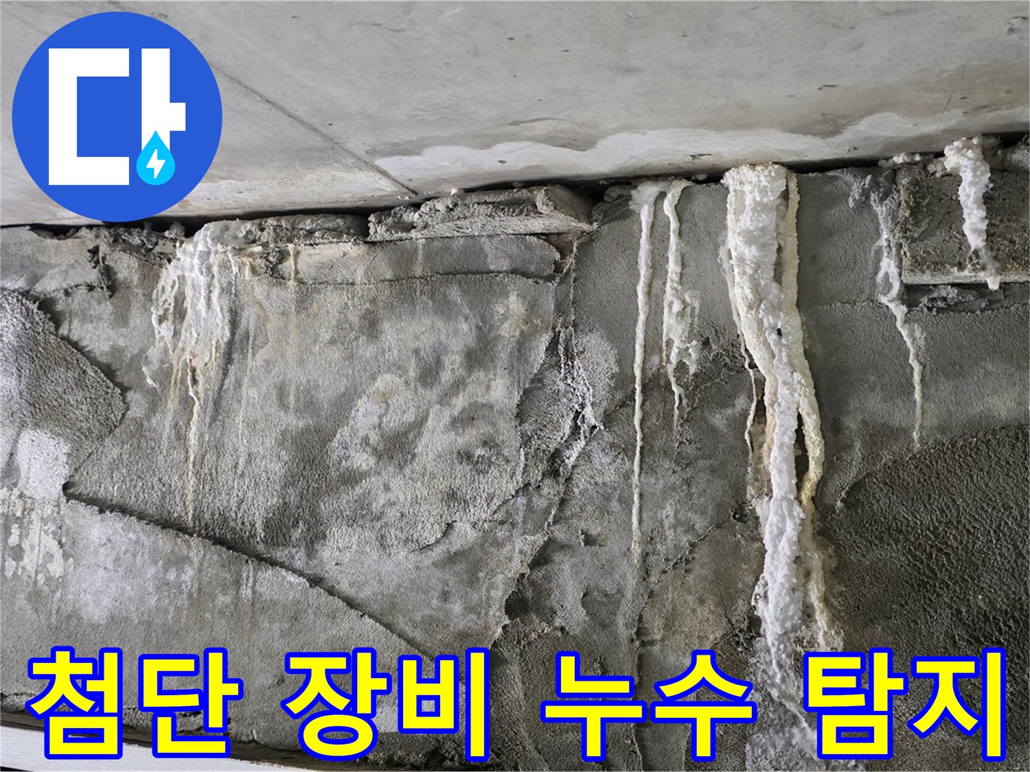 분당 누수 탐지 - 첨단 장비로 숨은 누수 박멸