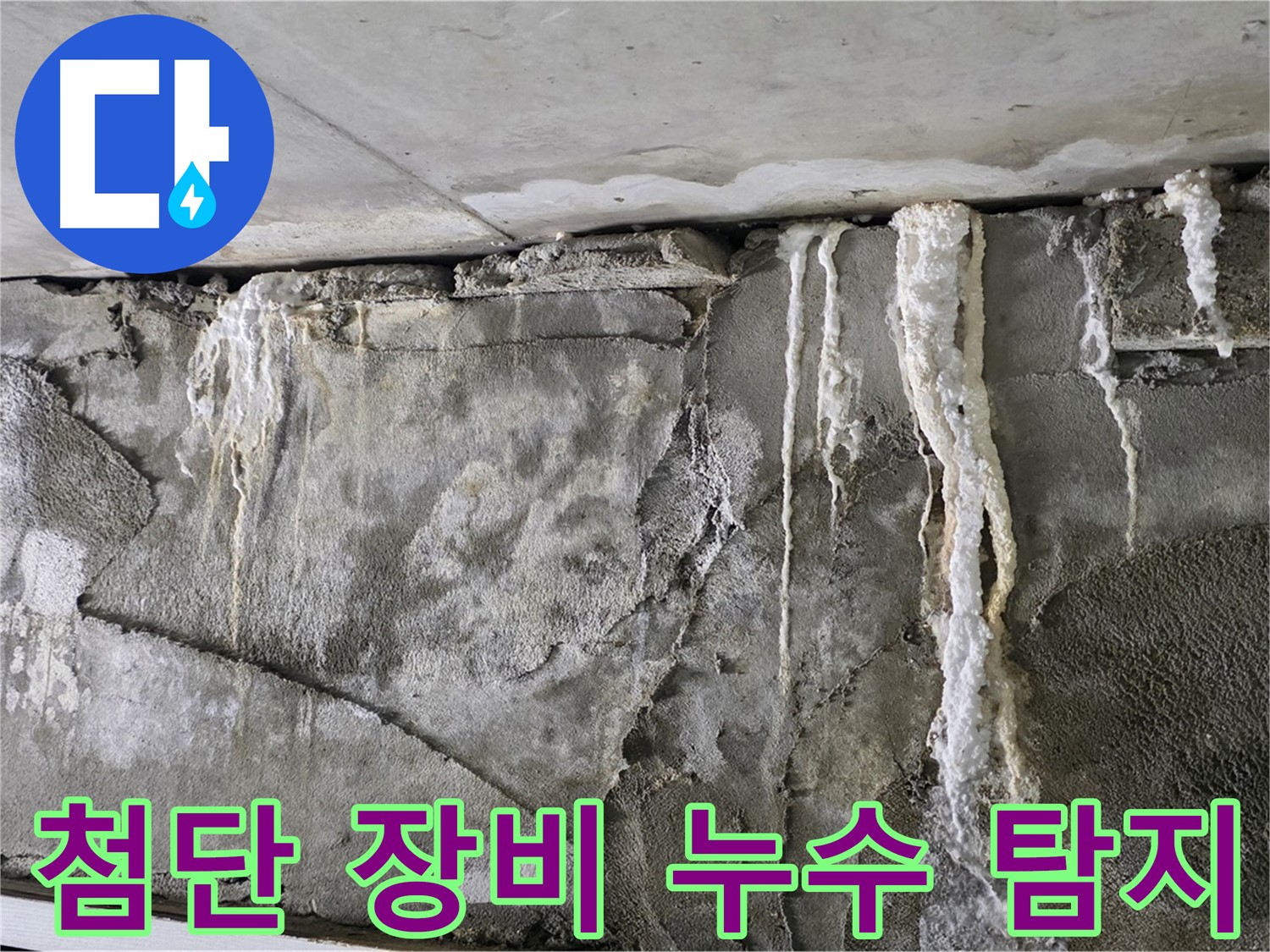 분당 누수 탐지 - 첨단 장비로 숨은 누수 박멸