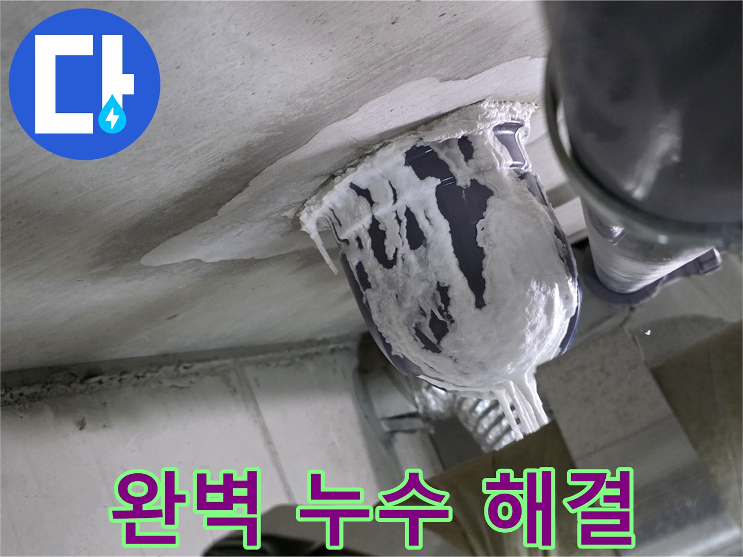 분당 운중동 누수 - 완벽한 누수 해결로 고객 만족 실현