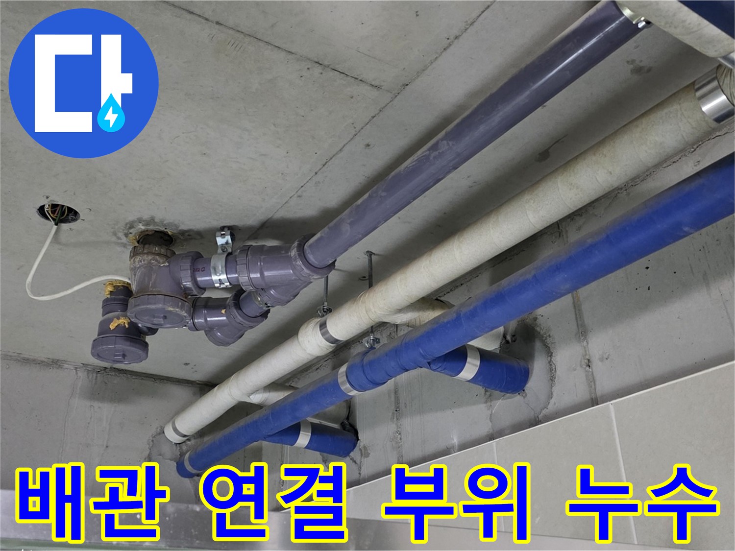 분당 운중동 배관 연결 부위 누수 - 정확한 위치 파악 및 보수