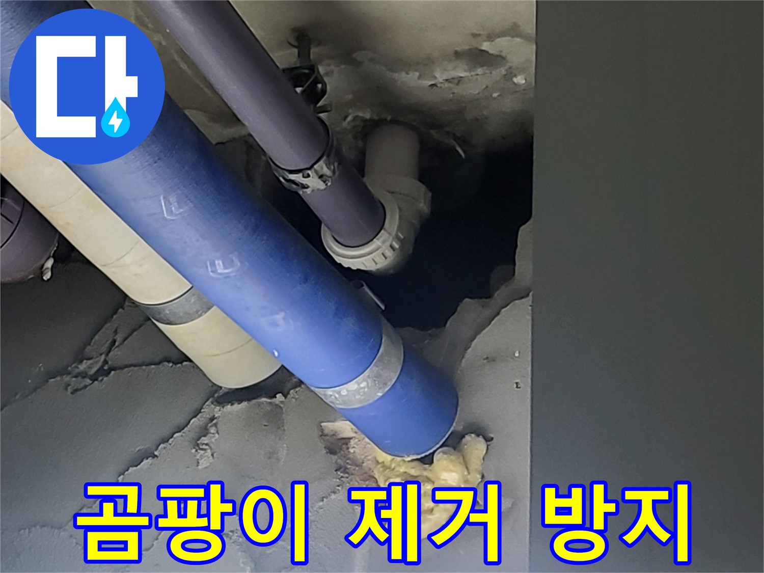 분당 운중동 산운로 아파트 누수 - 누수 부위 주변에 곰팡이를 제거하고 방지 작업을 진행하는 모습입니다.