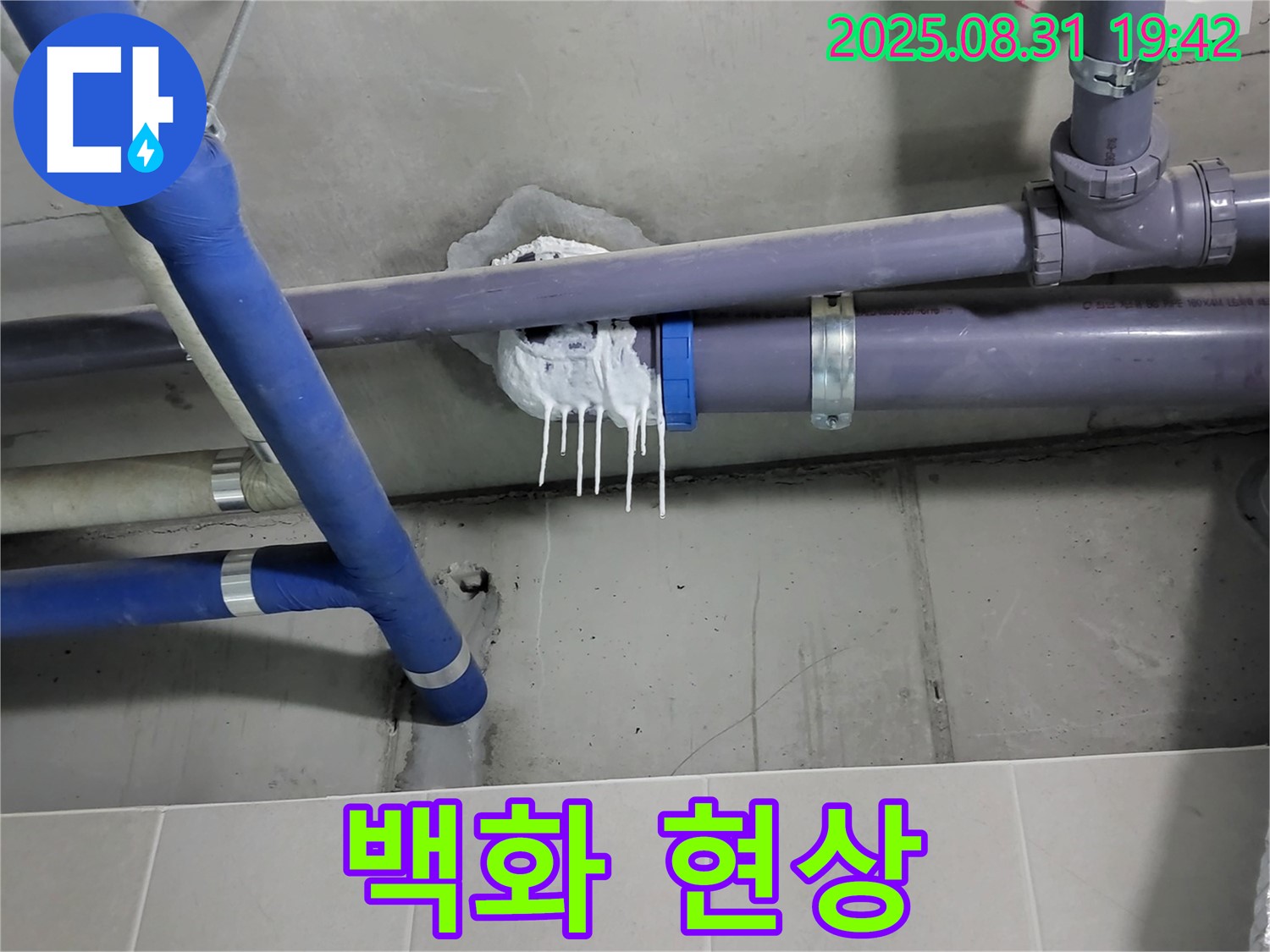 분당 운중동 산운로 주택 욕실 누수 - 배관 연결 부위 주변 백화 현상 발생