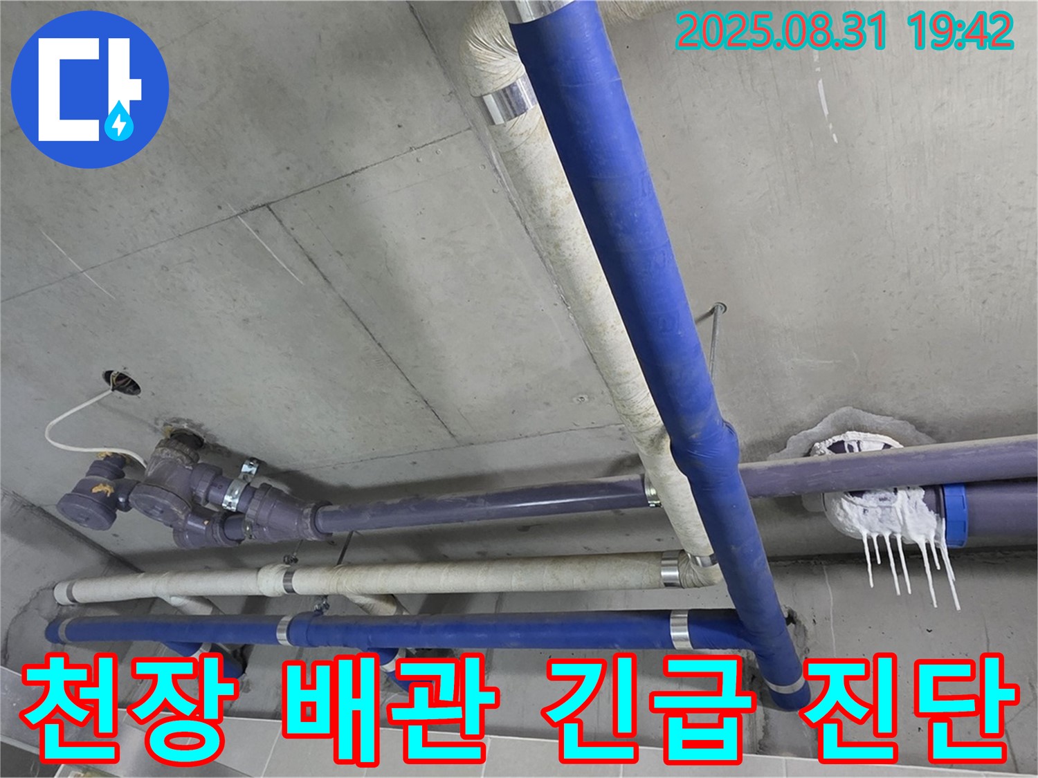 분당 운중동 산운마을 6단지 아파트 천장 배관 누수 - 긴급 누수 진단으로 추가 피해를 막고 신속하게 해결합니다.
