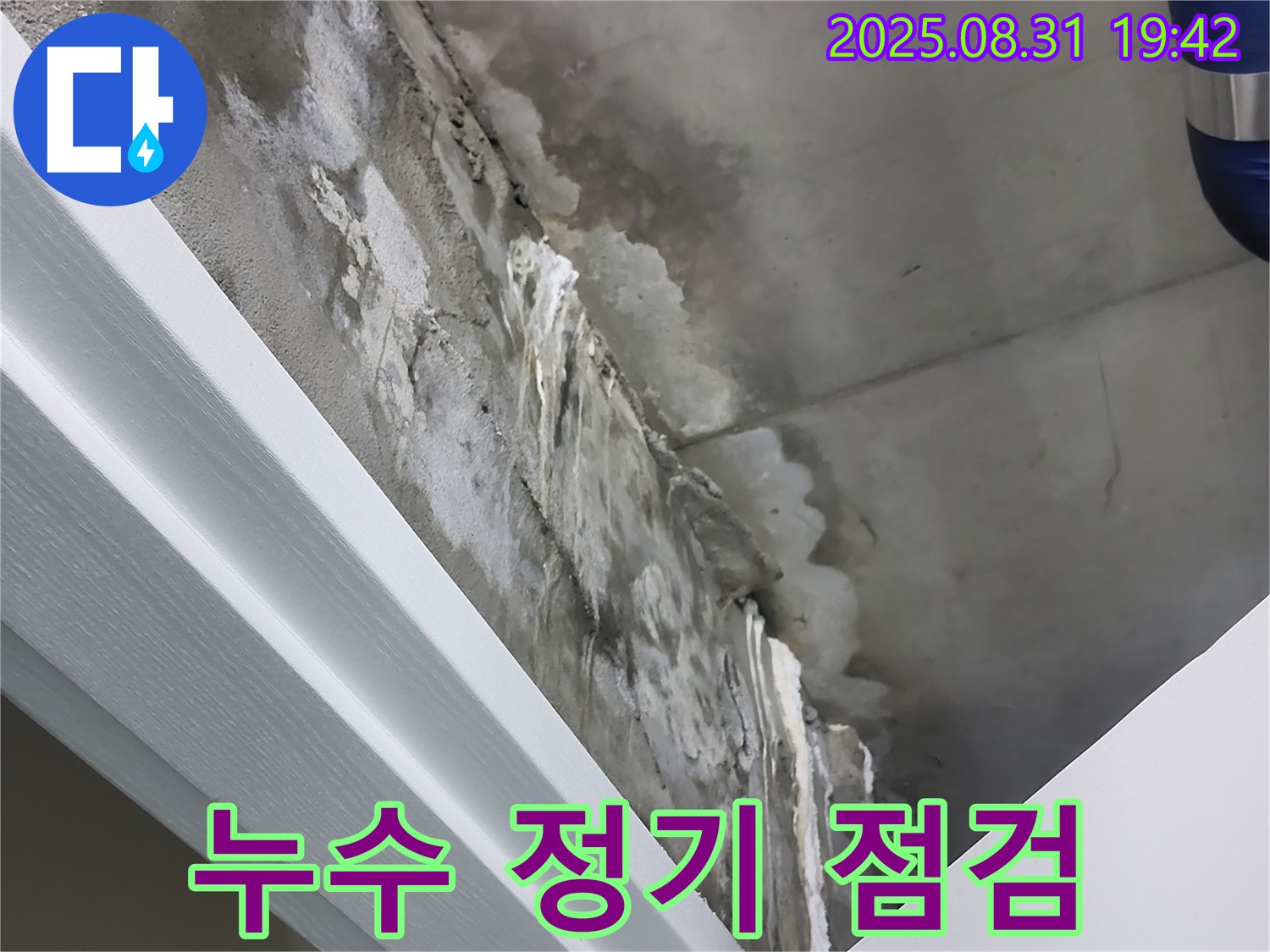 분당 운중동 산운마을 누수 - 정기 점검으로 미리 대비하세요!