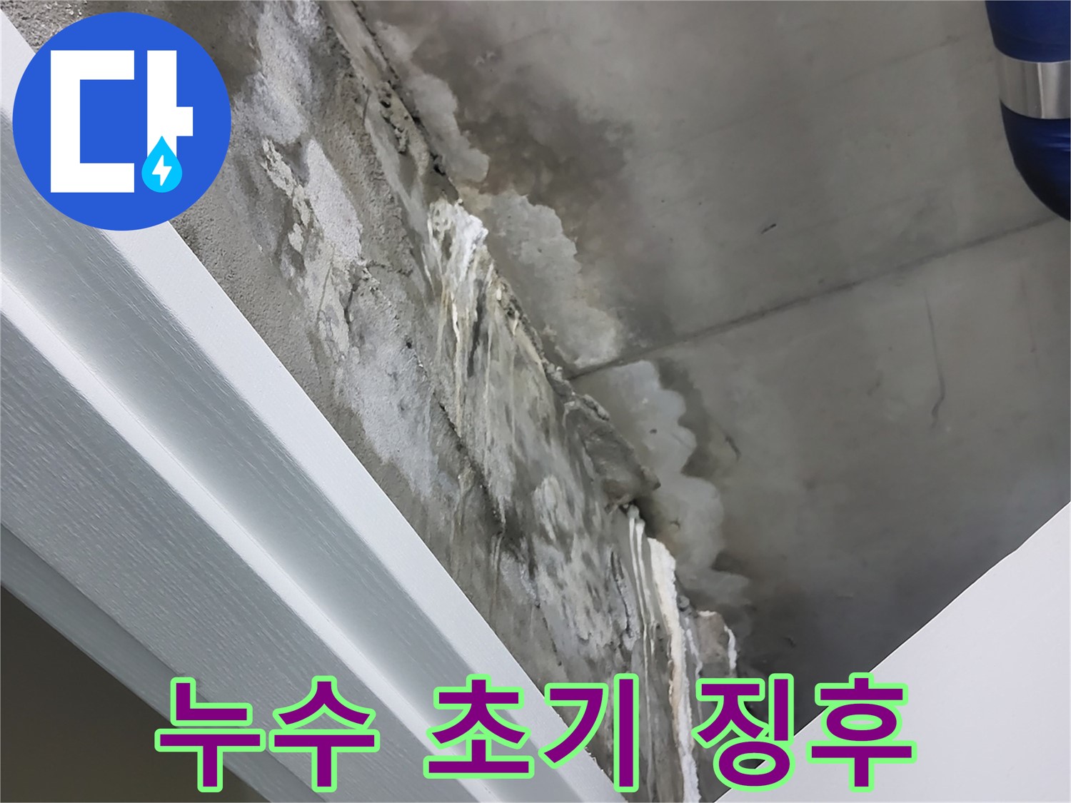 분당 운중동 산운마을 누수 초기 징후 - 곰팡이 발생 전 점검 필요