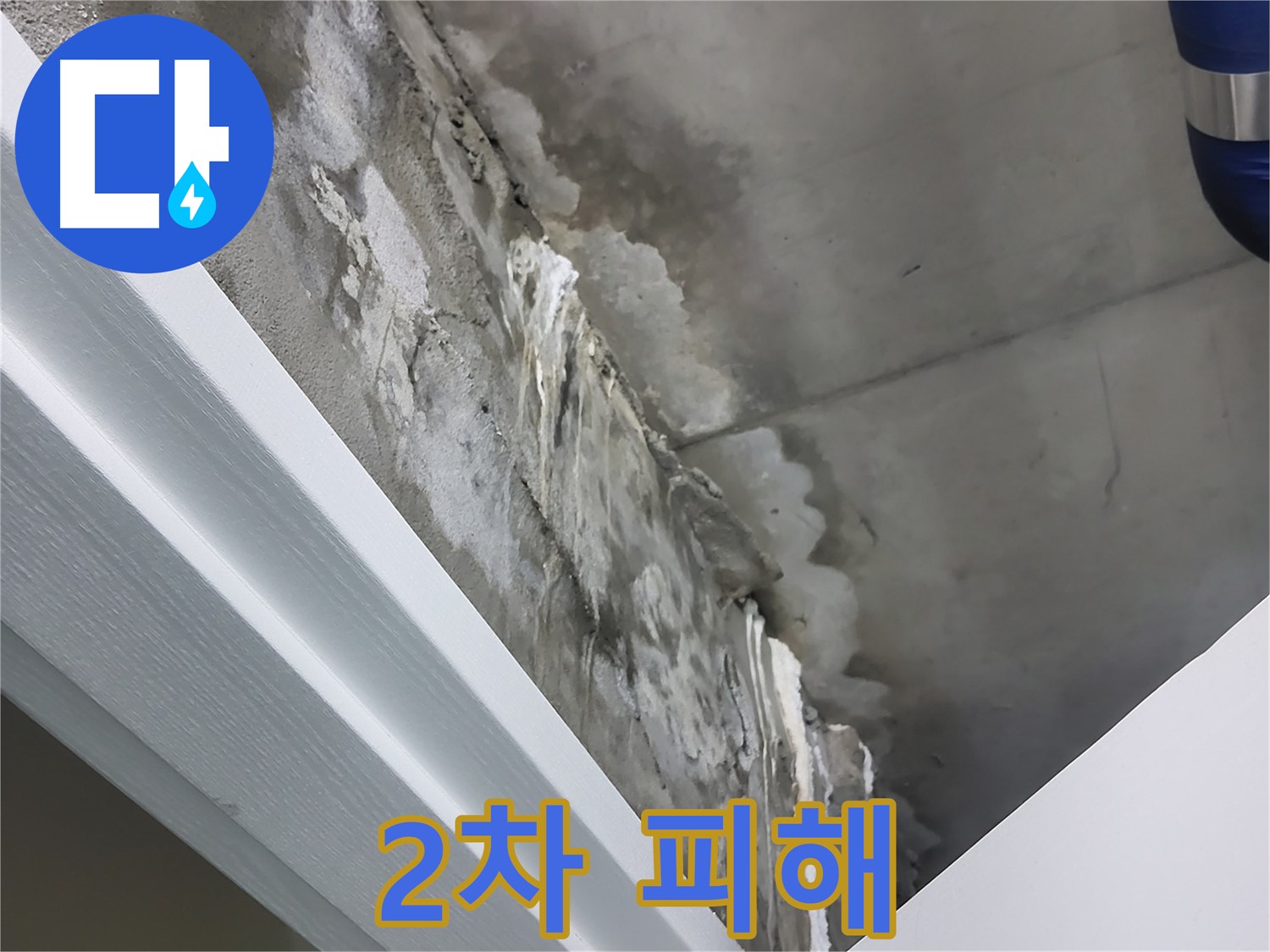 분당 운중동 산운마을 - 콘크리트 누수 - 석회수 - 2차 피해 유발