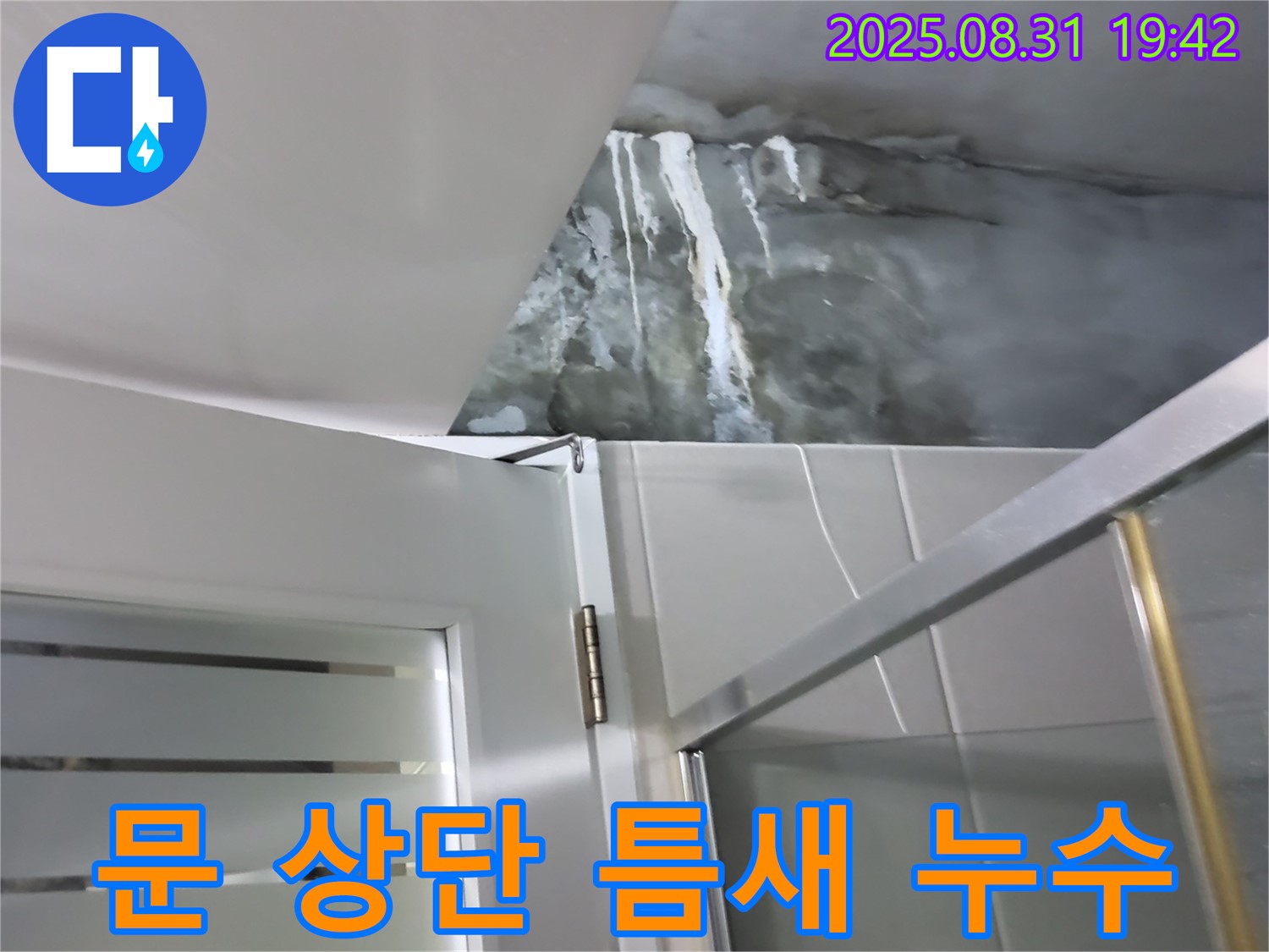 분당 운중동 - 샤워부스 문 상단 틈새 누수 - 실리콘 재시공과 물막이 업그레이드로 완벽 차단!