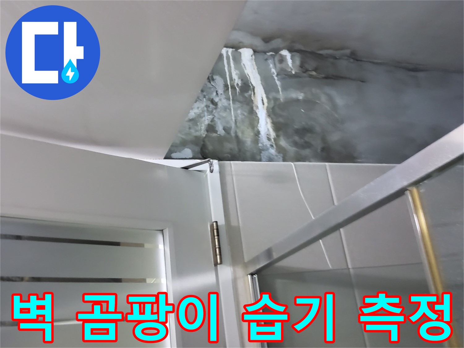 분당 운중동 샤워부스 주변 벽면 곰팡이 및 습기 측정 - 누수 원인 분석
