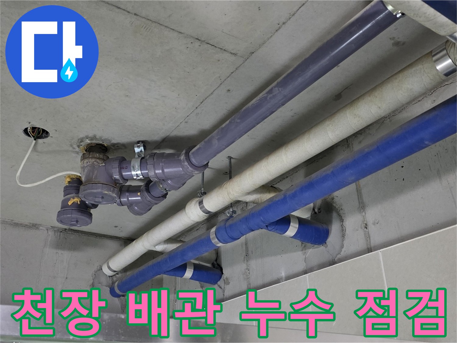 분당 운중동 아파트 천장 배관 누수 점검 - 누수 전문가의 꼼꼼한 진단