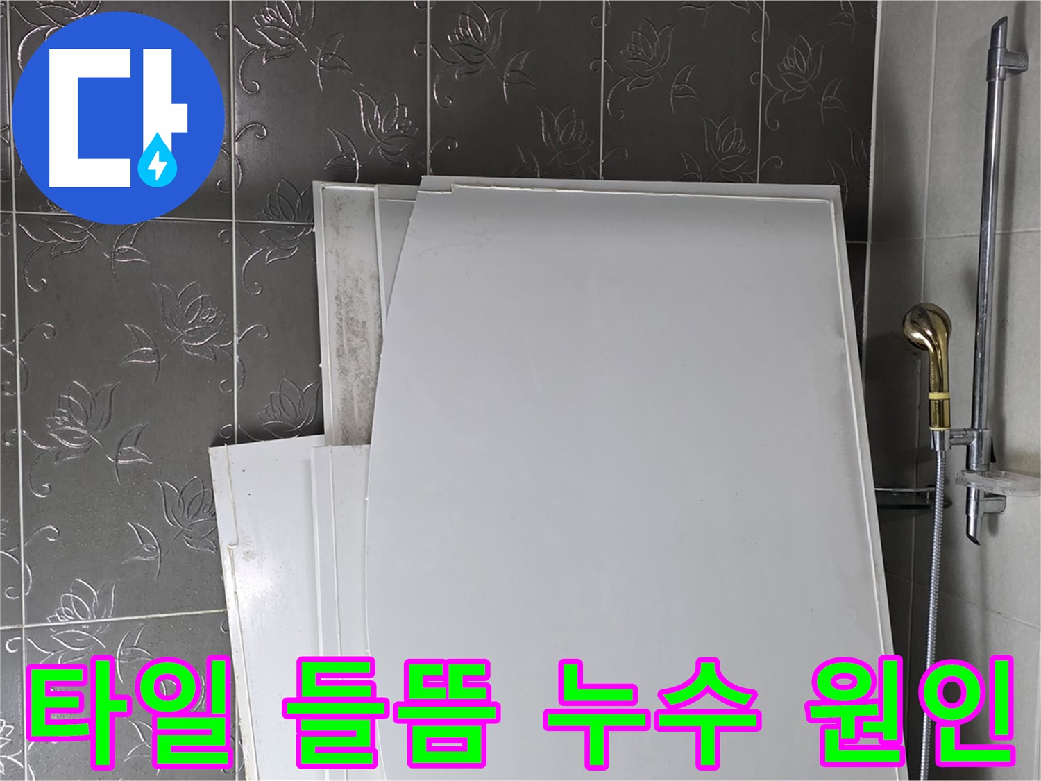 분당 운중동 욕실 누수 - 타일 들뜸 현상과 누수의 관계 분석 및 해결