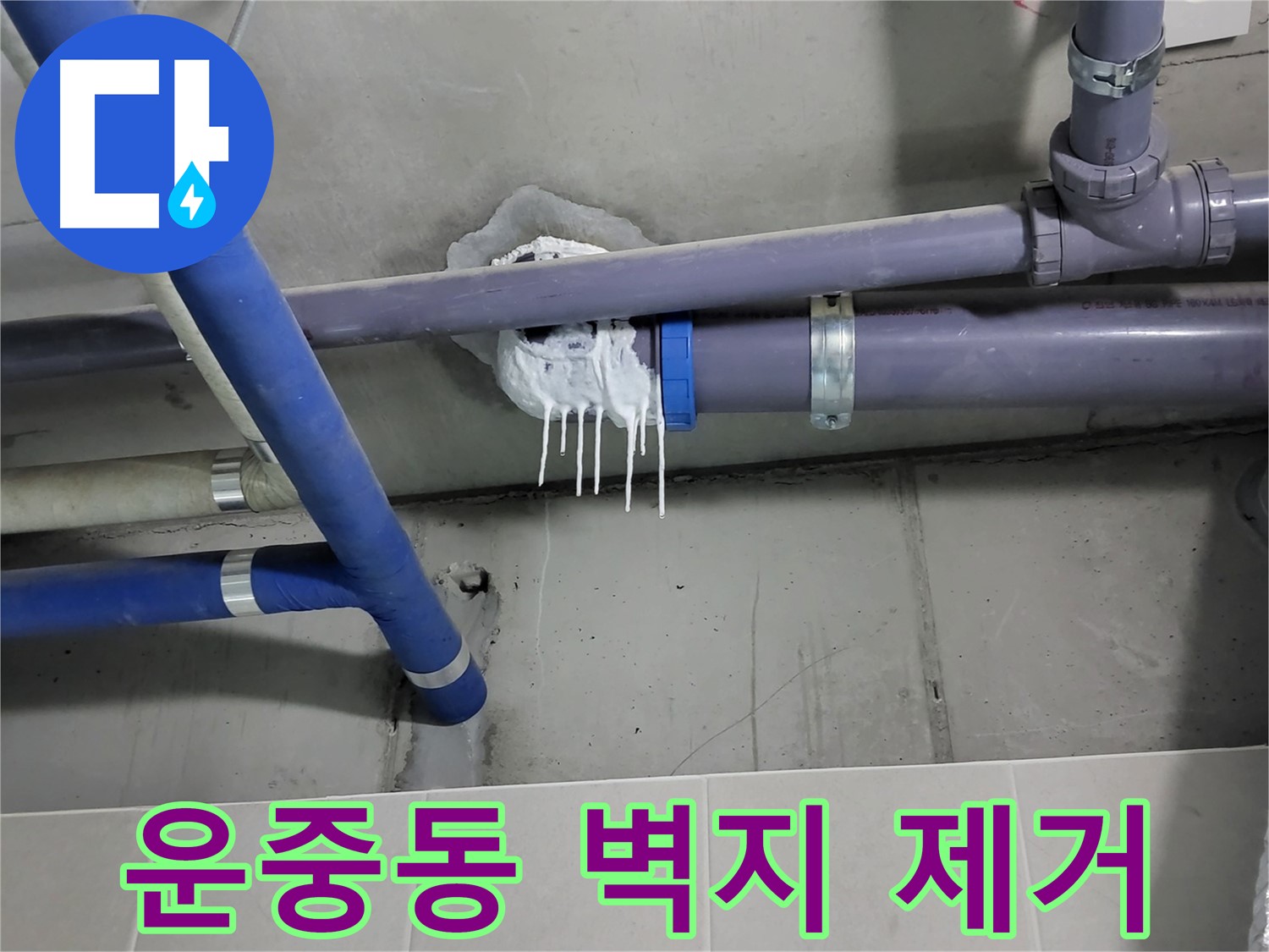 분당 운중동 하수 누수 - 벽지 제거 작업