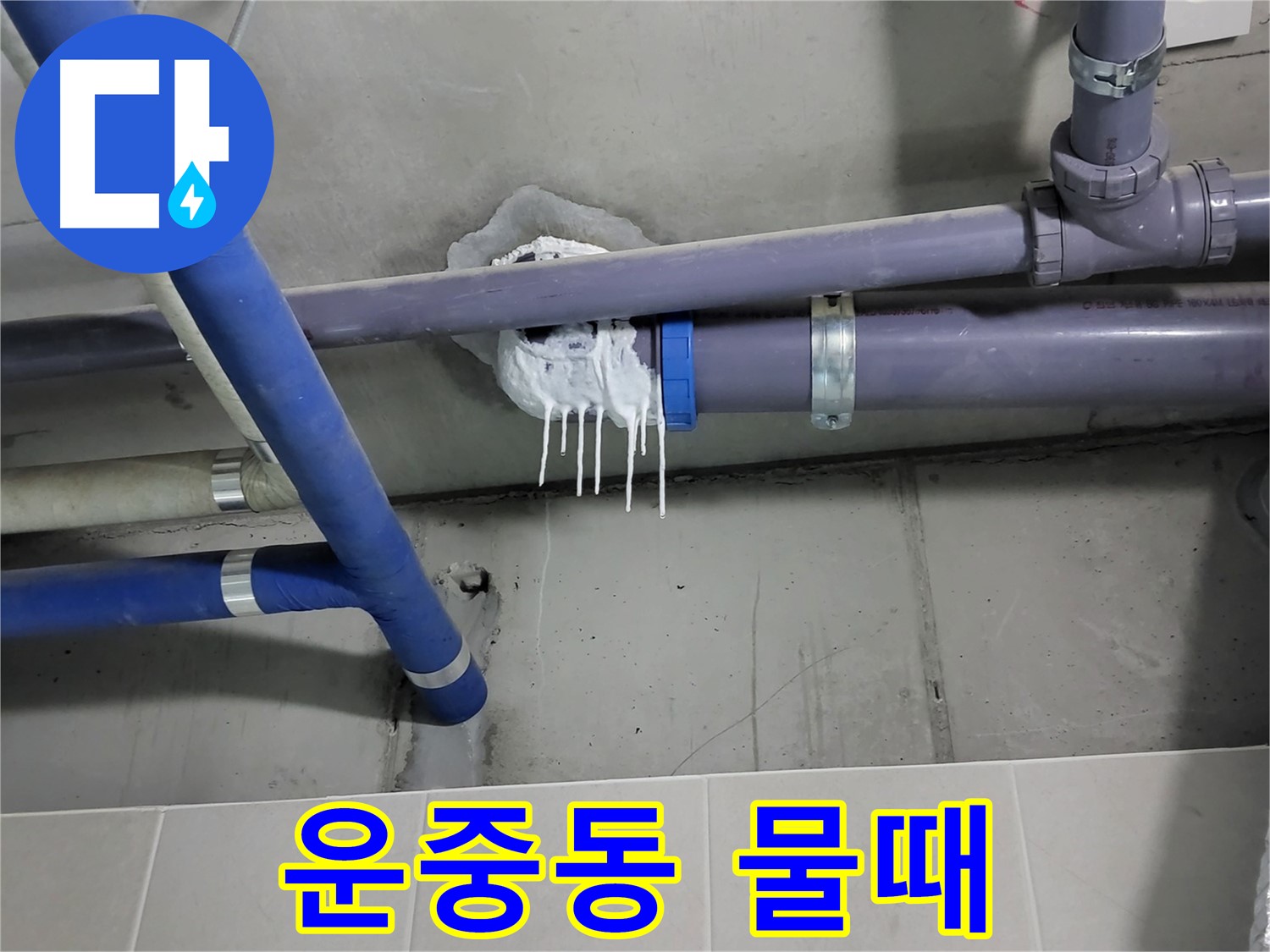 분당구 운중동 하수 누수 - 배관 연결 부위 물때