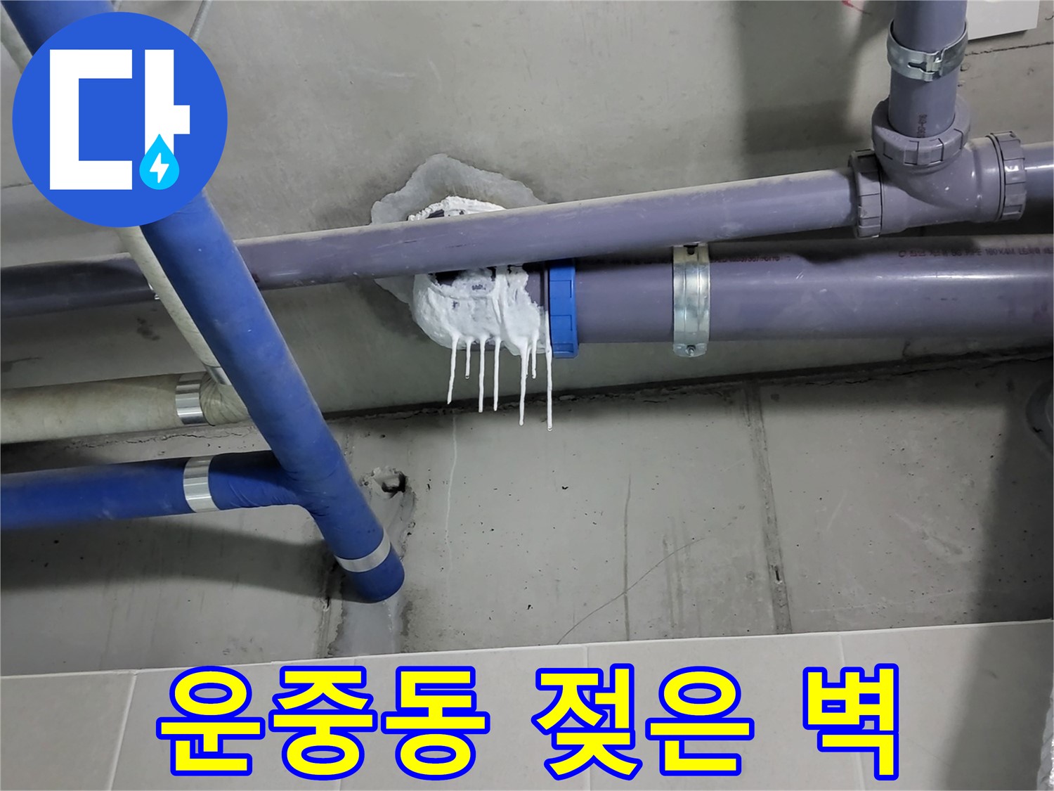 분당구 운중동 하수 누수 - 벽 젖은 흔적과 곰팡이 포자