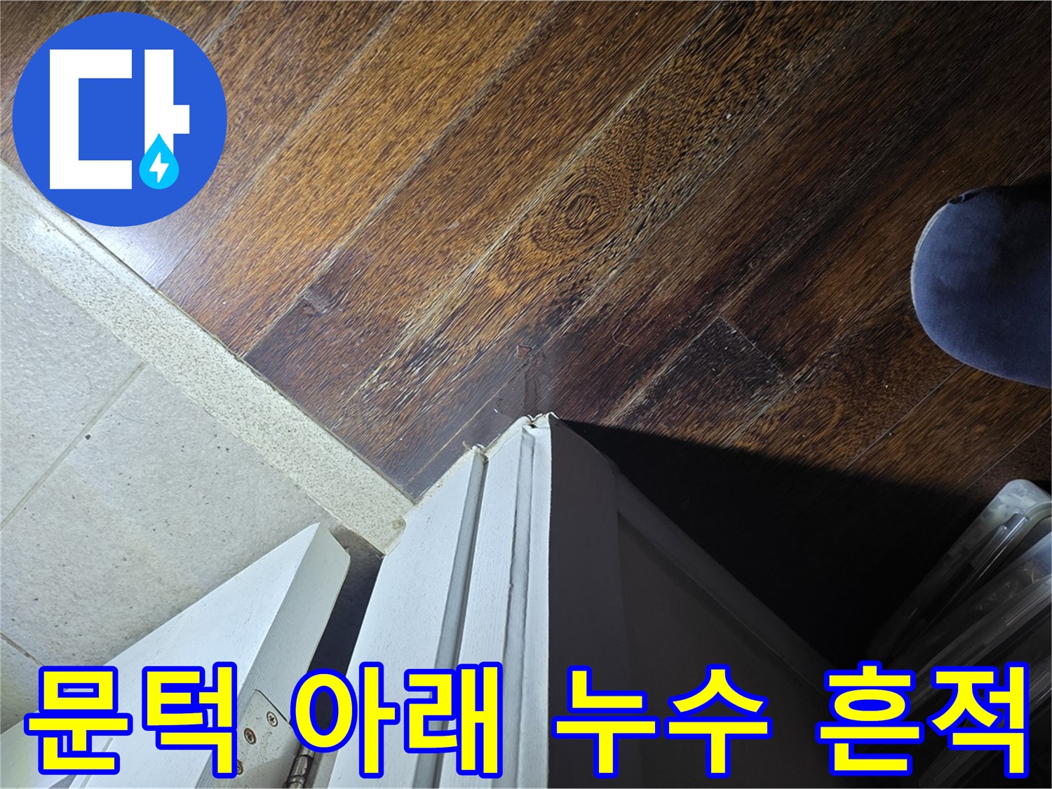 성남 분당 아파트 누수 - 운중동 산운마을 문턱 아래 누수 흔적 발견