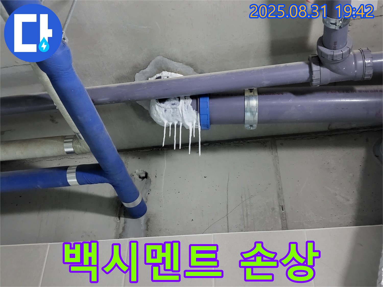 성남 분당 운중동 산운로 주택 욕실 누수 - 핀 시공 주변 백시멘트 균열 및 오염 확인