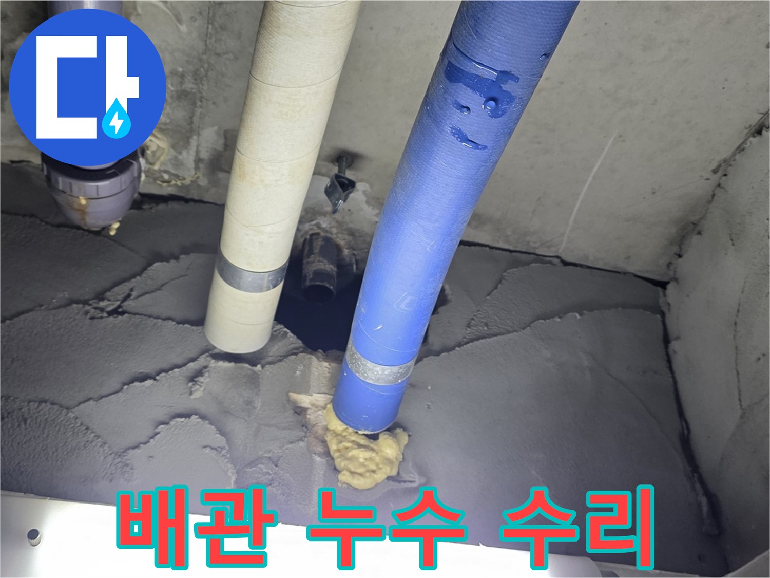 성남 분당 운중동 산운마을 6단지 누수 - 신속하고 정확한 누수 수리 완료