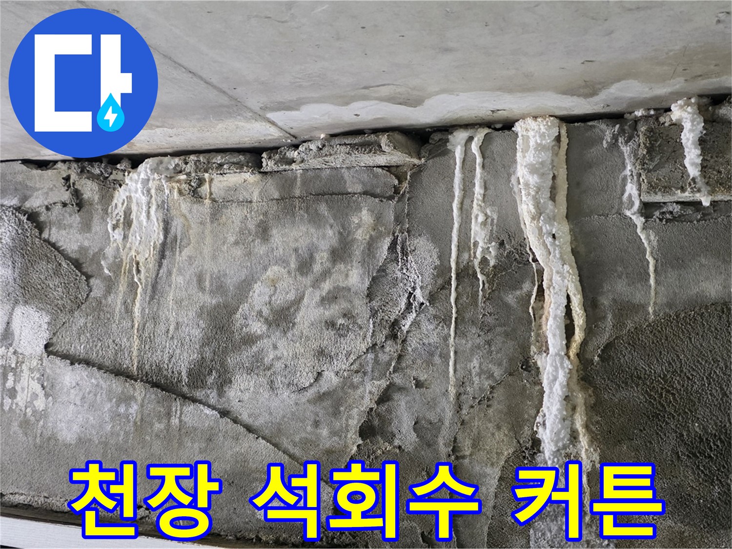 운중동 누수 - 천장 석회수 커튼, 붕괴 직전