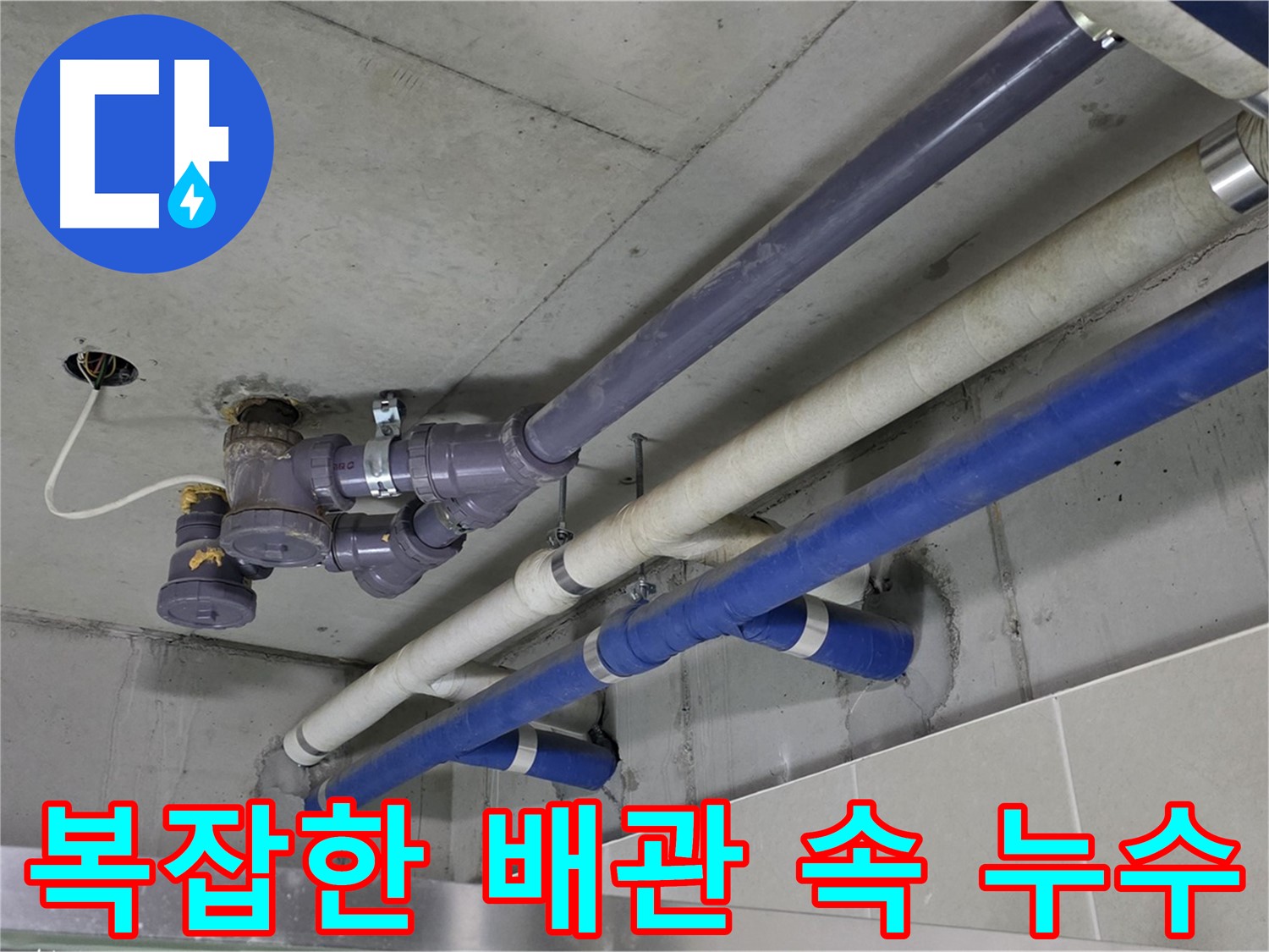 운중동 상가 복잡한 배관 속 누수 - 꼼꼼한 점검으로 완벽 해결