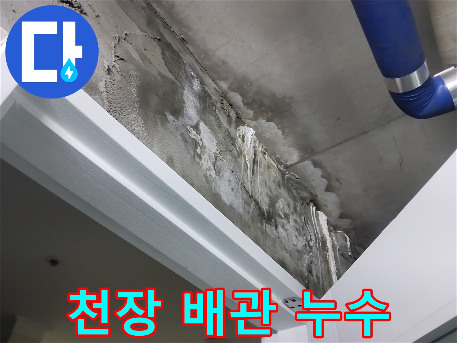 천장 배관 누수 - 천장 속 배관에서 누수가 발생하여 콘크리트 천장에 물이 스며든 모습입니다.