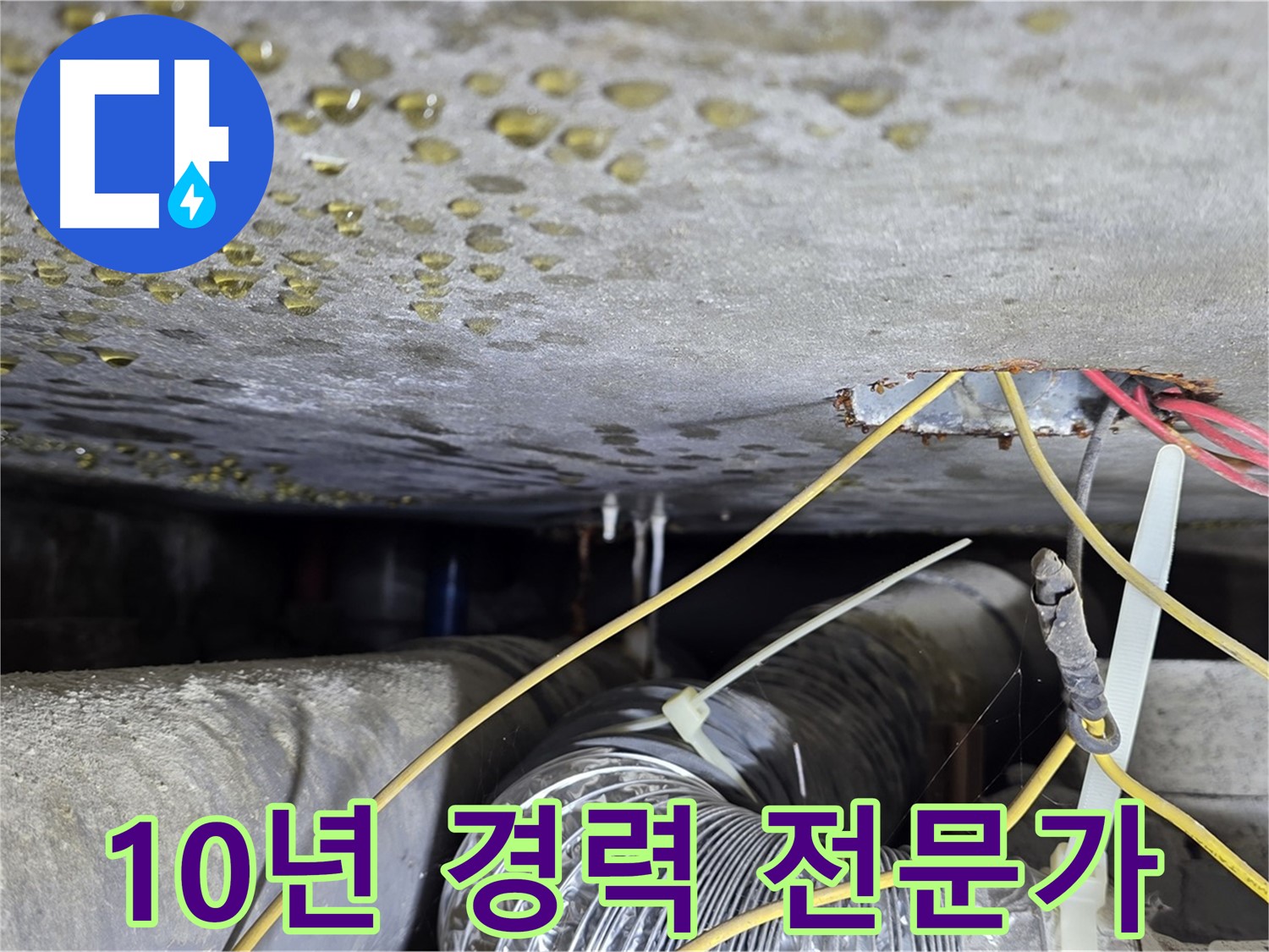 10년 경력 누수 전문가 - 콘크리트 균열과 배관 문제 해결